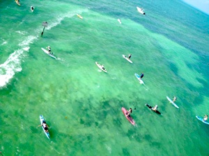 Image for 25th Annual Key West Paddle Classic